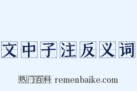 文中子注反义词是什么意思的图片